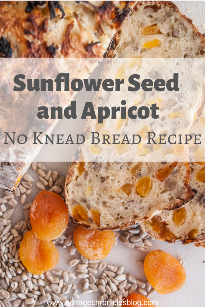 Easy Artisan Bread Recipe that anyone can make! Filled with apricot and sunflower kernels, or the fruit and nuts of your choice. Simple ingredients and easy to follow tutorial. Perfect for Holiday baking or Thanksgiving!