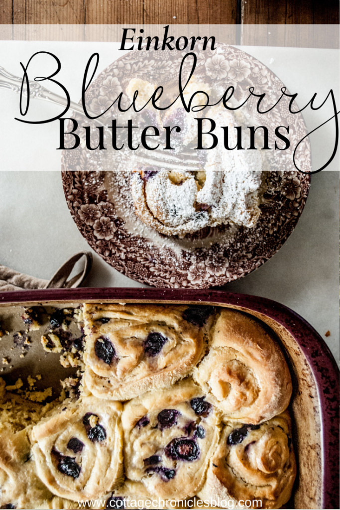 Easy recipe for delicious, buttery sweet blueberry rolls with a cream cheese filling.  Make with delicious Einkorn flour!