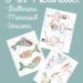 Printable Paper Dolls Bundle Ballerinas, Mermaids and Unicorns. Full color or color-your-own, plus background scenes.