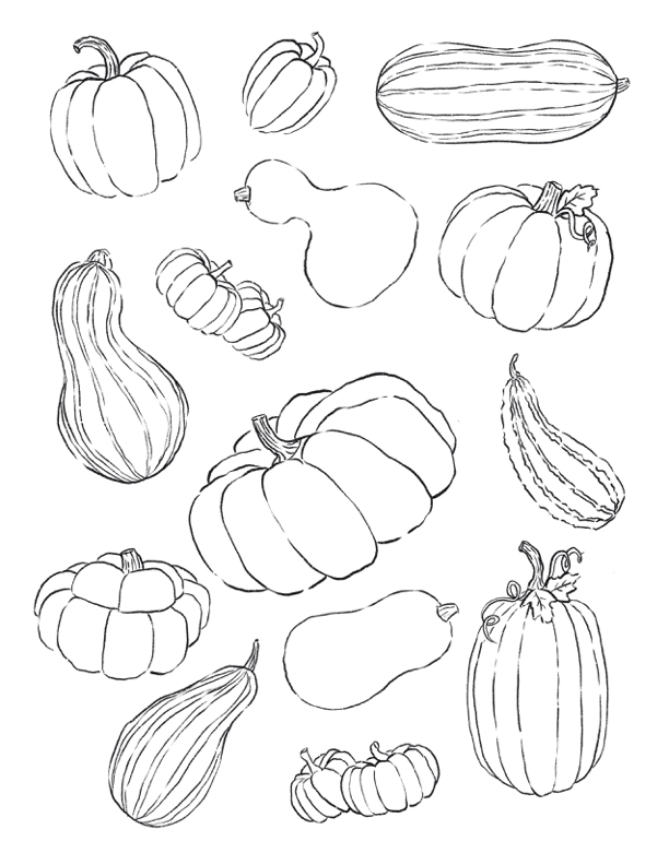 FREE download!  Printable Pumpkin and Squash Stickers or Coloring page.  FREE fall and autumn printable.